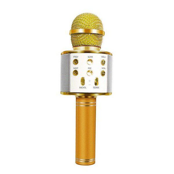 Microfone Sem Fio Bluetooth Karaoke WS-858 G