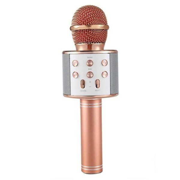 Microfone Sem Fio Bluetooth Karaoke WS-858 RG