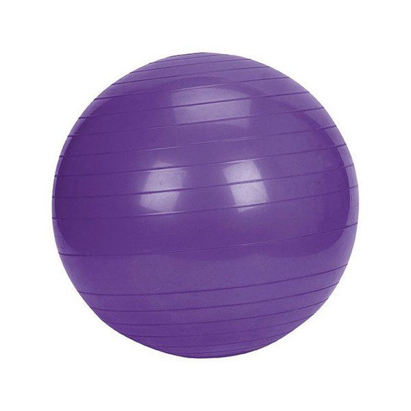 Bola de Ginástica Gym Ball 65 cm 2