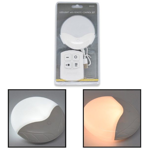 Lâmpada LED de Controle Remoto com Temporizador (5)